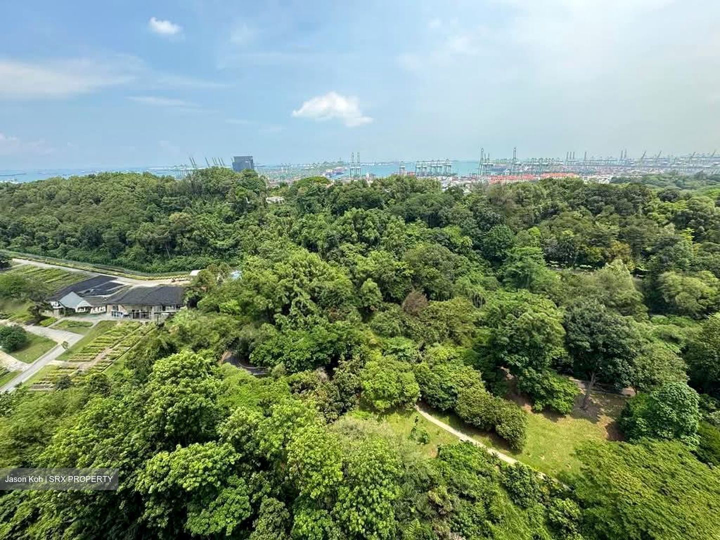Normanton Park (D5), Apartment #594213471